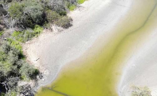 $!Declaran zona de Escuinapa como nueva área natural protegida