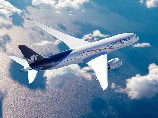 Aeroméxico señaló que dicho acto pasaba por alto los beneficios que había brindado en conectividad, turismo y consumidores en México.