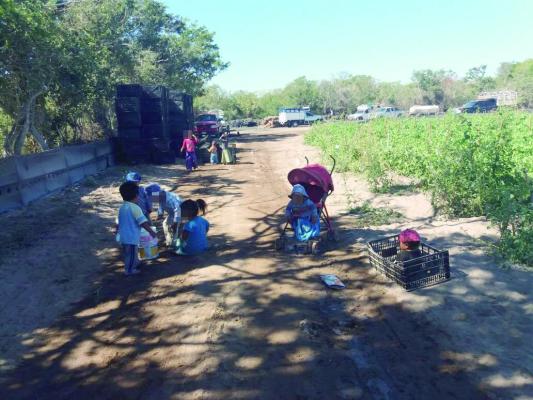 Alto a la explotación infantil en Sinaloa, piden desde el Congreso