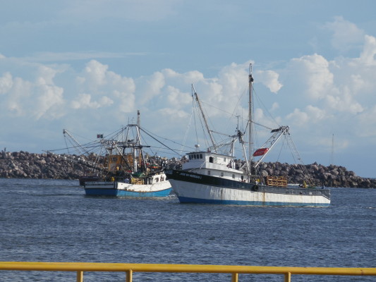 Por terminar la temporada de camarón de alta mar en el Pacífico