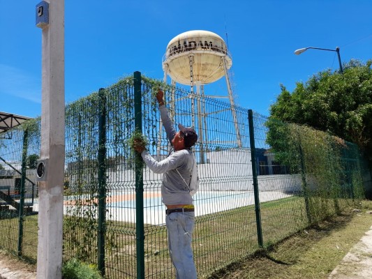 Personal del Imdem realiza los trabajos en ambos espacios.
