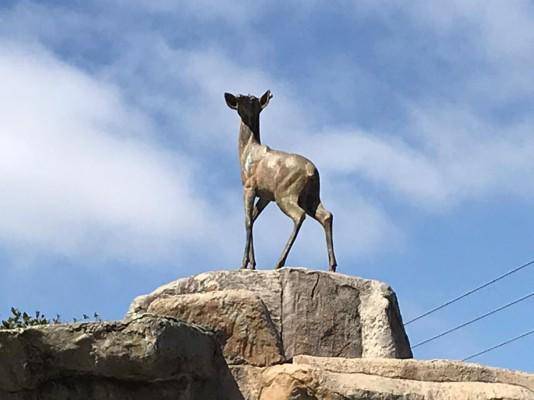 Este monumento fue hecho en 1977 y este año cumpliría 44 años de edad.