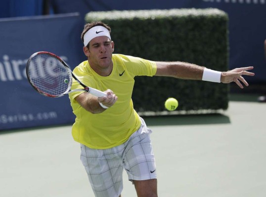 Del Potro avanza a su primera final de la ATP desde 2014