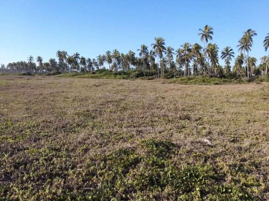 $!Declaran zona de Escuinapa como nueva área natural protegida