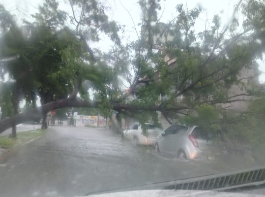 Declaran en emergencia 10 municipios de Sinaloa