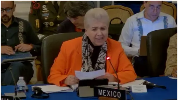 Luz Elena Baños encabezó un debate en contra del aumento de cuotas que el organismo cobra a sus integrantes.