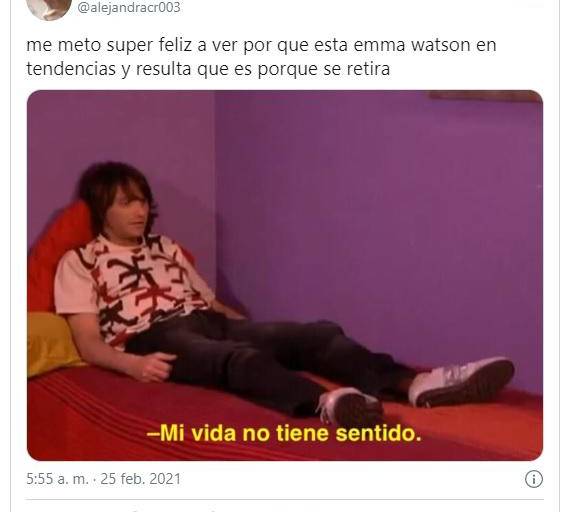 Trasciende que Emma Watson deja la actuación