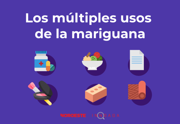 La planta maravilla