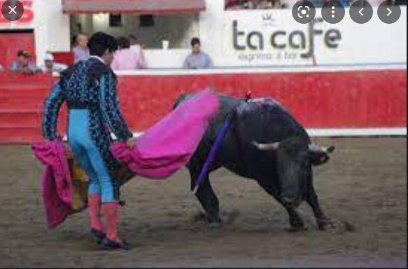 A favor y en contra de la tauromaquia en Sinaloa, Congreso realiza foro animalista