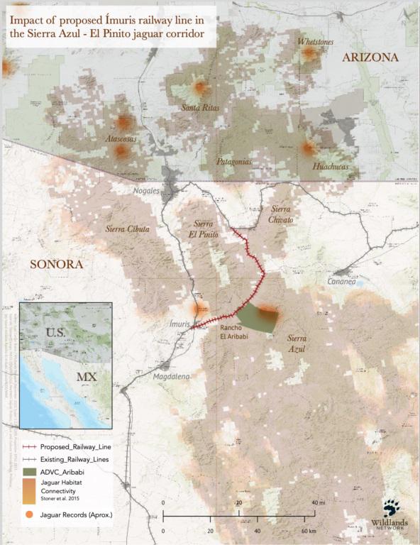 $!Mapa cortesía de Wildlands Network.