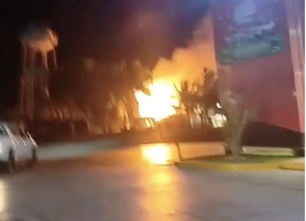 Unas palmeras se incendiaron este sábado en Altata, Navolato.