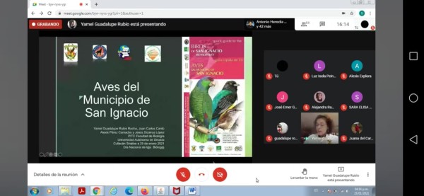 Sinaloa tiene gran potencial para el aviturismo dicen especialistas