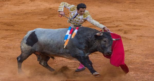 Tribunal revoca suspensión provisional que impedía corridas de toros en la Plaza México