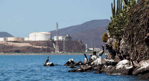De 2013 a abril de 2022, sólo 17 jueces de distrito han acudido a cursos o eventos sobre derecho ambiental al no ser obligatorios.