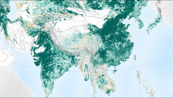La tierra es más verde que hace 20 años