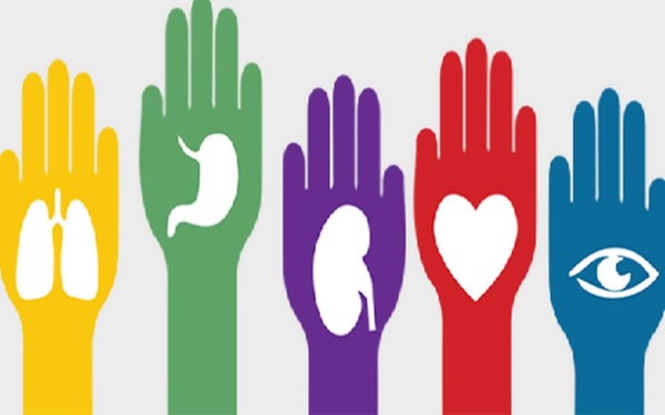Donar un riñón no afecta la esperanza de vida del donante y no aumenta el riesgo de problemas renales en el futuro.