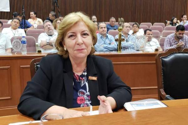 Francisca Abelló Jordá, diputada de Morena en la 63 Legislatura.