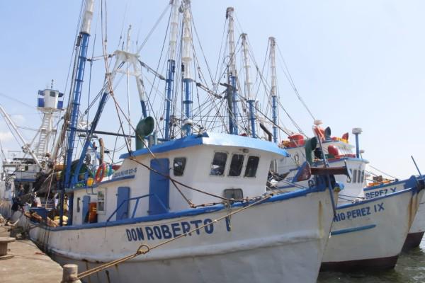 Barcos camaroneros atracados en los muelles.