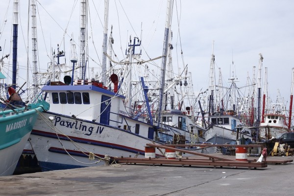 Pescadores de Mazatlán dicen que están en la ruina