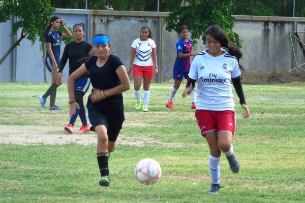 La rama femenil tiene ocho equipos.