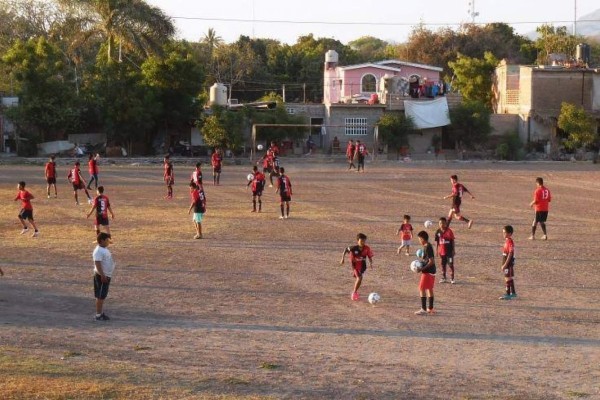 Se espera arrancar la actividad en dos semanas.