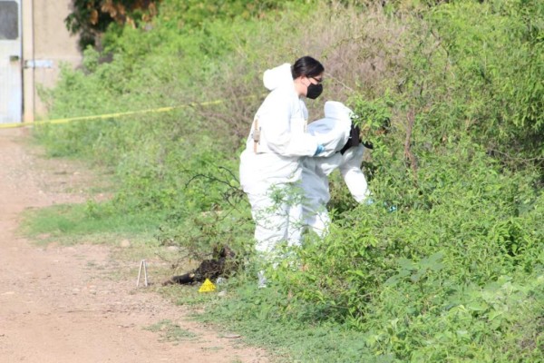 CEDH abre investigación por dichos de la Procuradora del DIF Culiacán