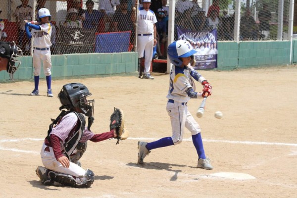 Cancelan los torneos nacionales de regiones de beisbol infantil en el 2020