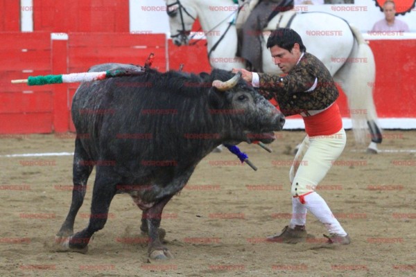 Piden a Quirino que publique decreto íntegro de protección animal, incluida la prohibición de tauromaquia