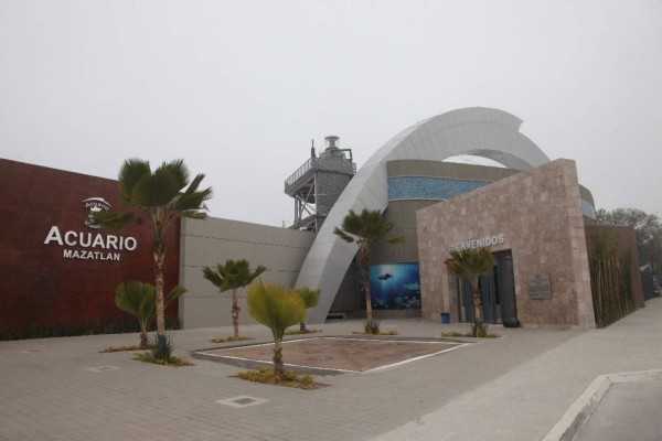 En Mazatlán, van casi 8 mil firmas contra el pingüinario