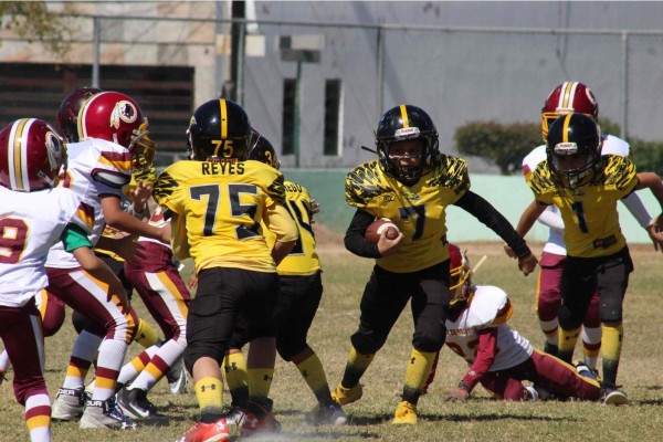 Halcones de Mazatlán está por comenzar con entrenamientos virtuales.