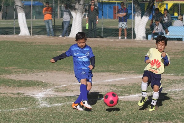 El futbol de los Cubitos del Muralla está próximo a iniciar.