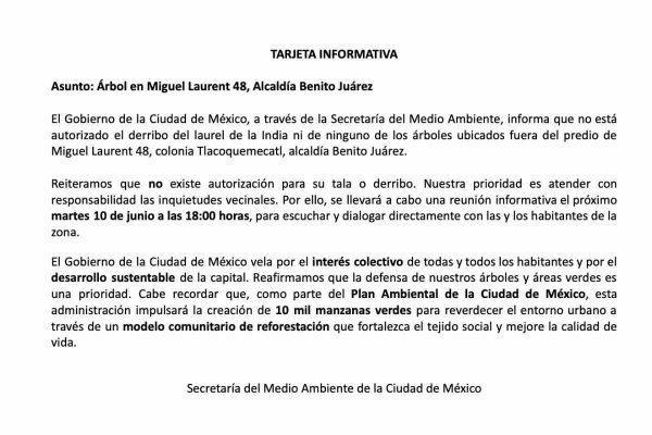 $!Vecinos denuncian intento de tala de un árbol de 100 años en CDMX; alcaldía y Sedema niegan permisos