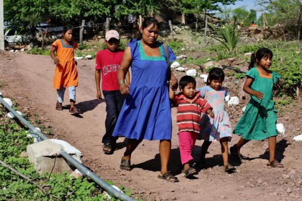 Diputado Martín Vega pide proteger las lenguas maternas en Sinaloa