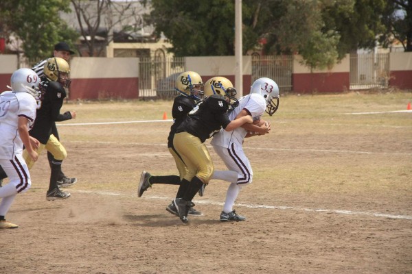 Dominaron los mazatlecos en la temporada Infantil 2018 de la Asociación de Futbol Americano de Sinaloa