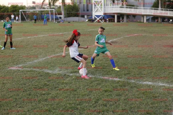 Se mantiene Vía Reggio ‘encendido’