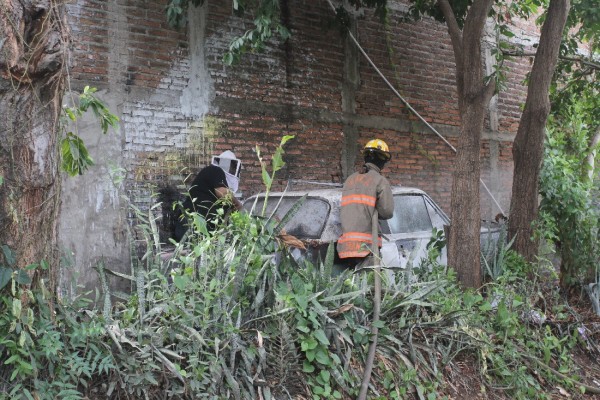 Bomberos atiende hasta 16 servicios de abejas al día