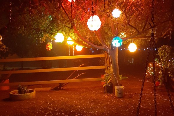 Las alas de Titika: Navidad inacabada
