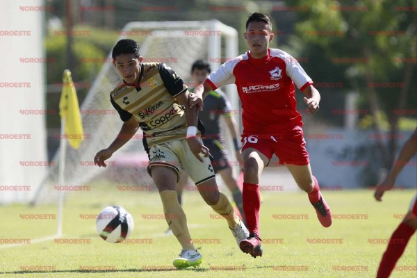 Dorados, obligado a ganar para avanzar a semifinales de la LNT