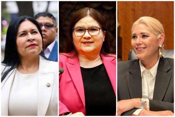Ana Lilia Rivera Rivera, Imelda Castro Castro y Verónica Camino Farjat.