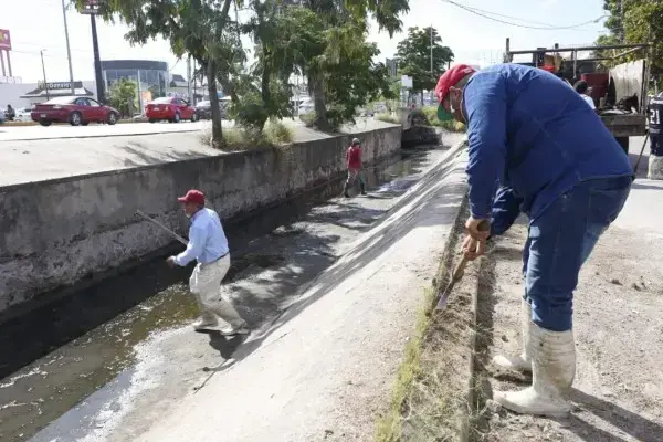 Se han limpiado ya 26 kilómetros de canales pluviales en Mazatlán, confirma Alcaldesa