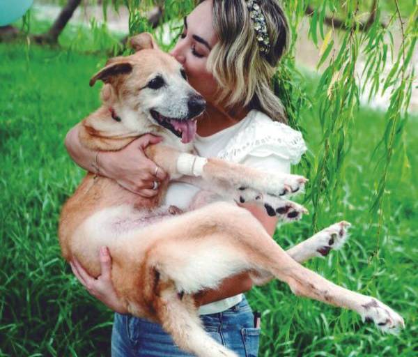 Rebeca Uriarte trabaja por la vida digna de los animales en Sinaloa