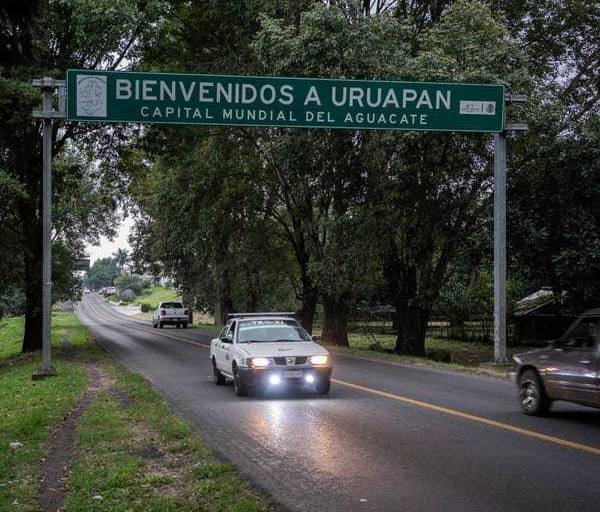 Inspectores de aguacate de EU regresan a Michoacán, pero Embajador dice que faltan condiciones de seguridad