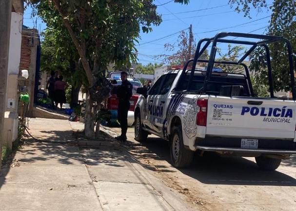 Los hechos se dieron en el fraccionamiento Pradera Dorada.