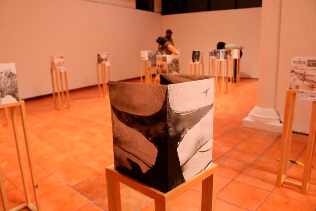 Exhibe 2 exposiciones en sus galerías