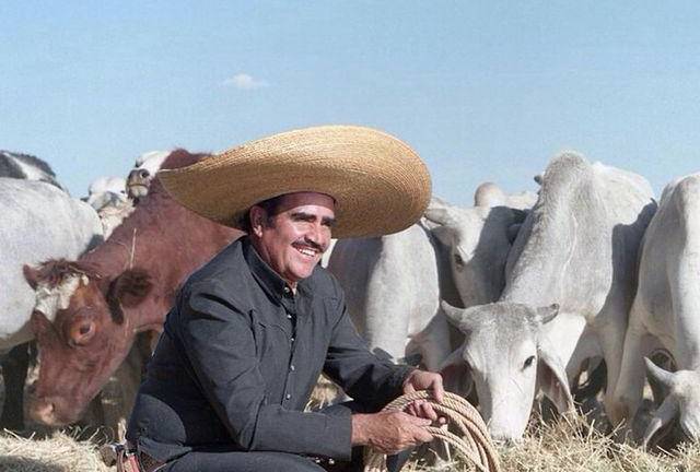 Vicente Fernández
