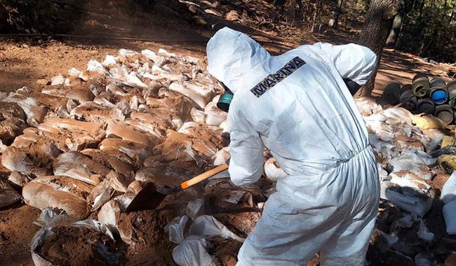 Personal de la Secretaría de Marina y otras corporaciones aseguran en Zacatecas un laboratorio de drogas.