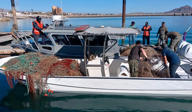 En las redes se encontraron 25 ejemplares de totoaba atrapados, los cuales sumaban 875 kilogramos en total.