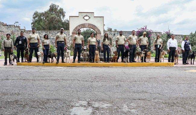 Diez caninos se especializaron en la detección de productos cárnicos y serán enviados a República Dominicana.