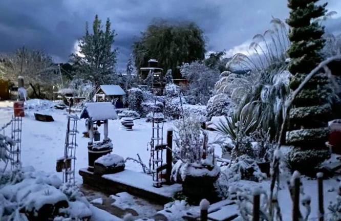 Caída de nieve en municipios de la sierra de Durango.
