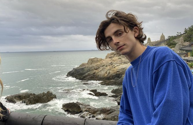 El actor Timothée Chalamet será Willy Wonka en su etapa de juventud.